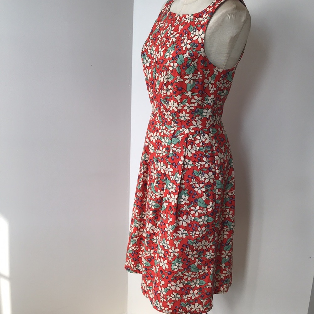 Women’s Birds Of North America Dress Sz 6 New